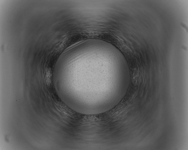 X0000091010866200708241510