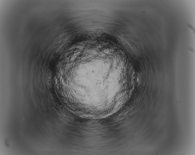 X0000091010867200708241510