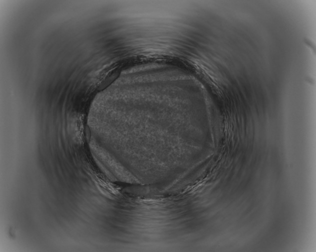 X0000091010868200708241510