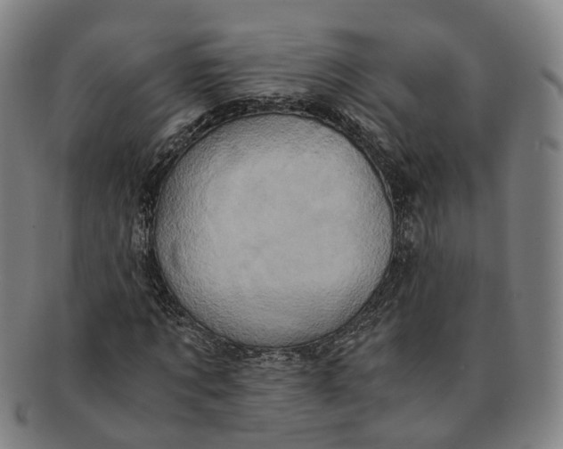 X0000091010869200708241510