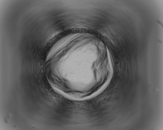 X0000091010870200708241510