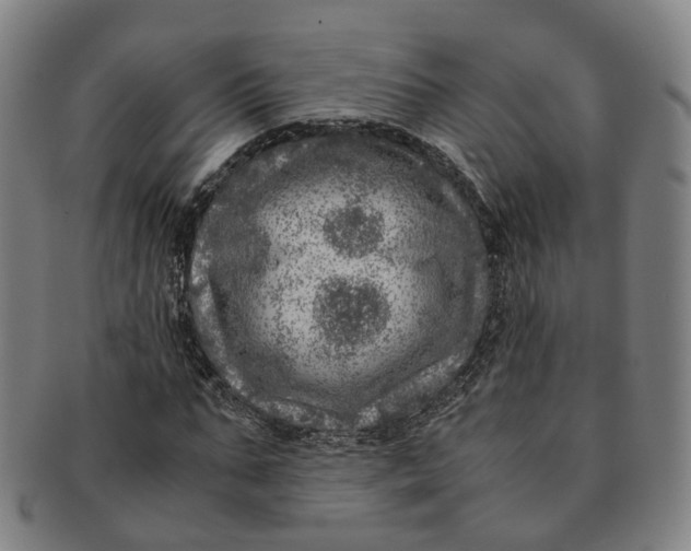 X0000091010871200708241510