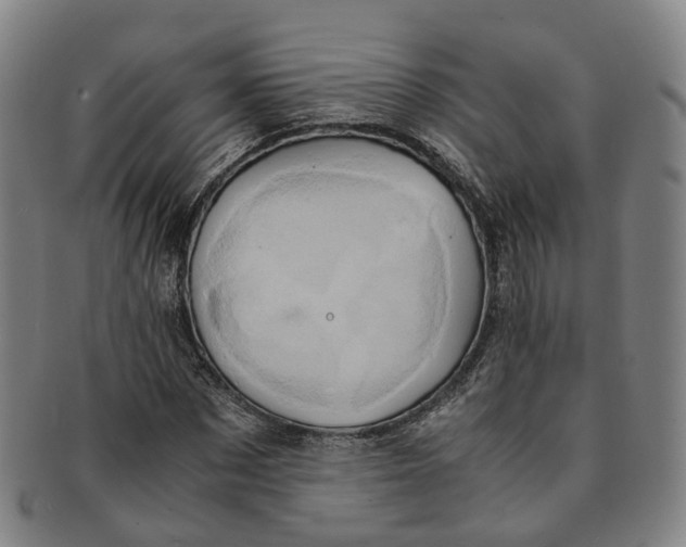 X0000091010873200708241510