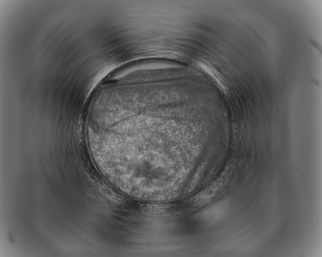 X0000091010875200708241510