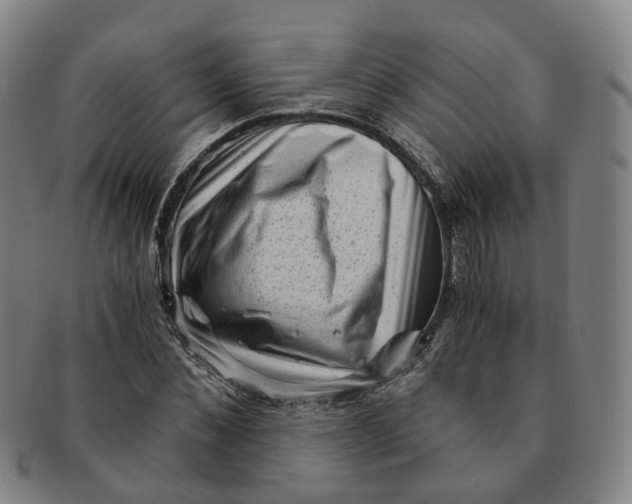 X0000091010876200708241510