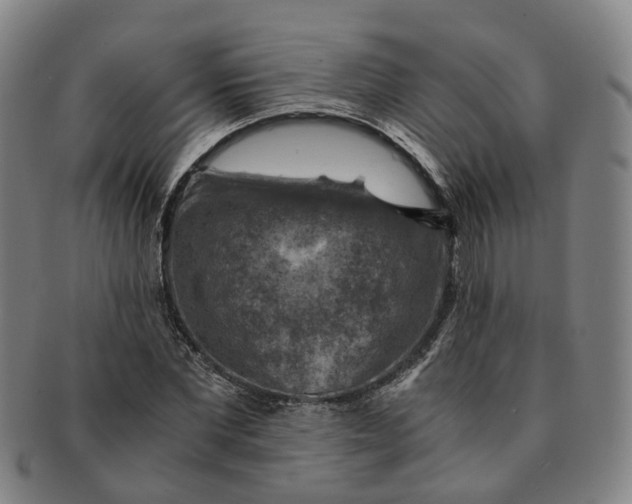 X0000091010877200708241510