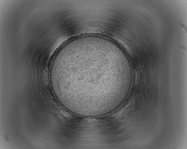 X0000091010878200708241510