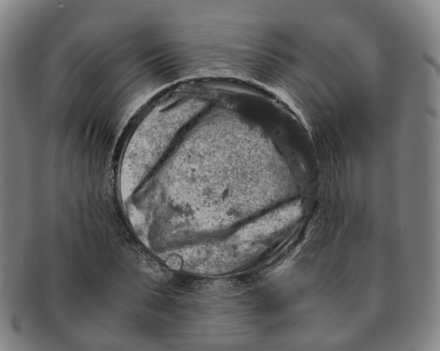 X0000091010879200708241510