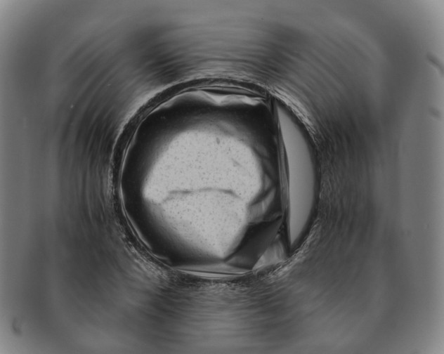 X0000091010880200708241510