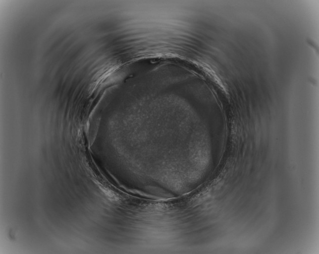 X0000091010881200708241510