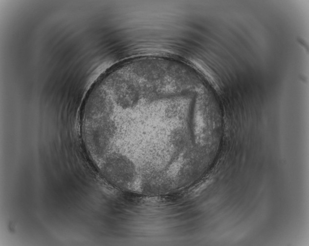 X0000091010883200708241509