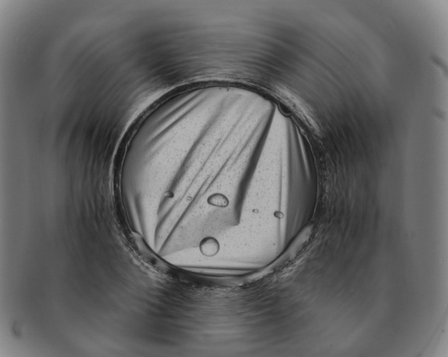 X0000091010884200708241509