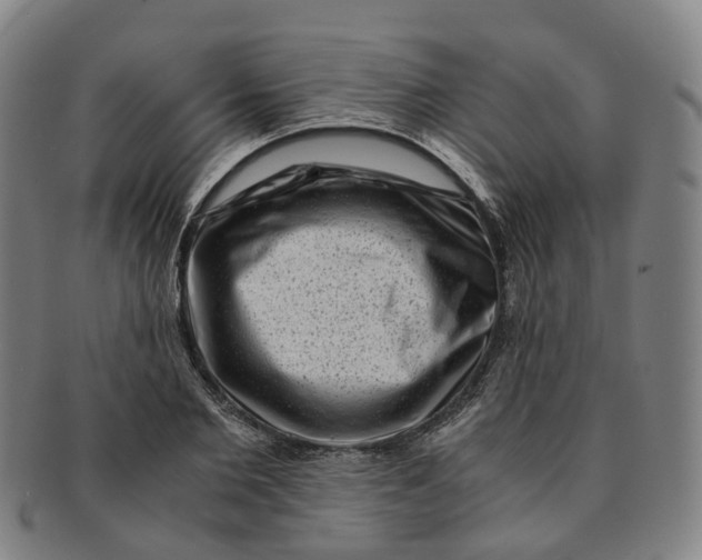 X0000091010885200708241509