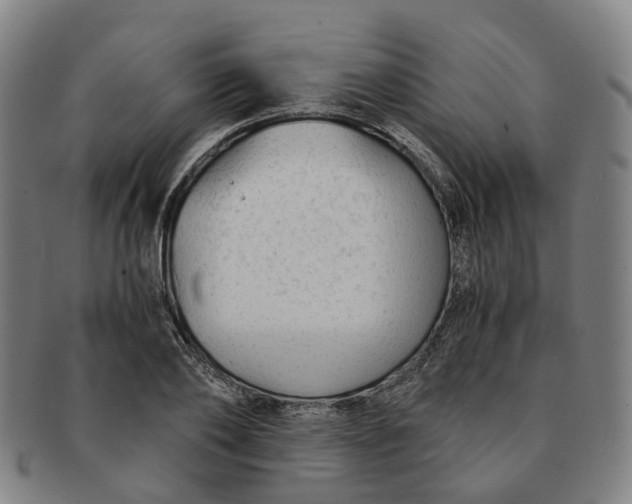 X0000091010886200708241509