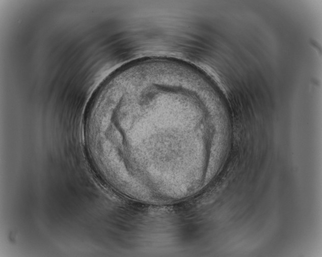 X0000091010887200708241509