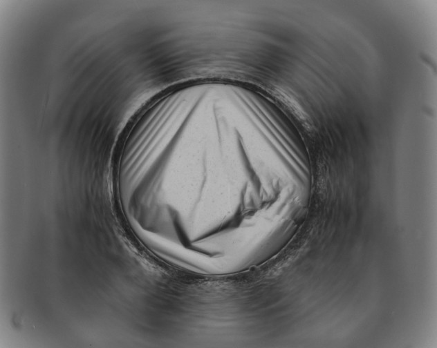 X0000091010888200708241509