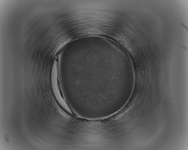 X0000091010889200708241509