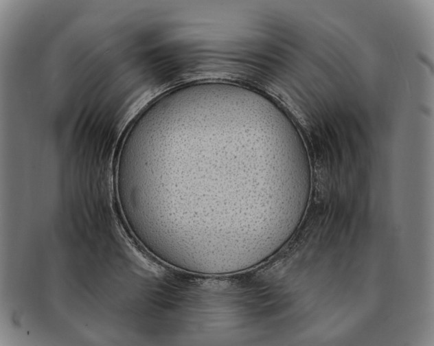 X0000091010890200708241509