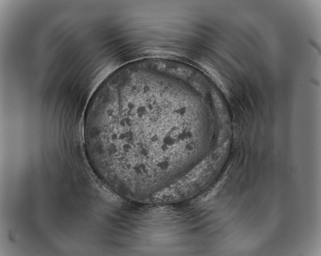 X0000091010891200708241509