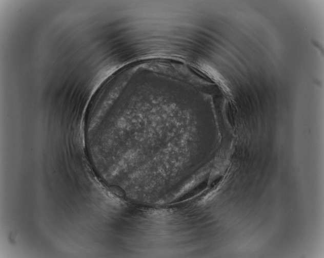 X0000091010892200708241509