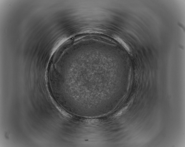 X0000091010893200708241509