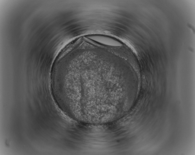 X0000091010895200708241509