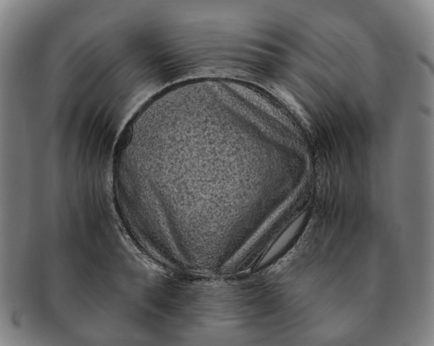 X0000091010896200708241509