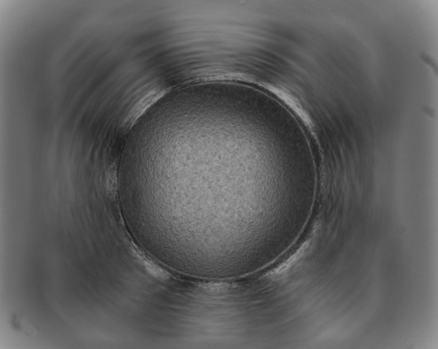 X0000091010897200708241509