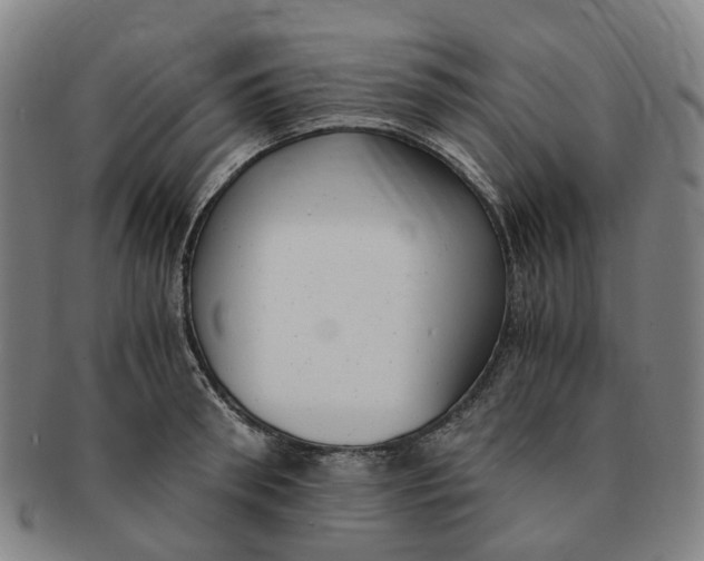 X0000091010898200708241509