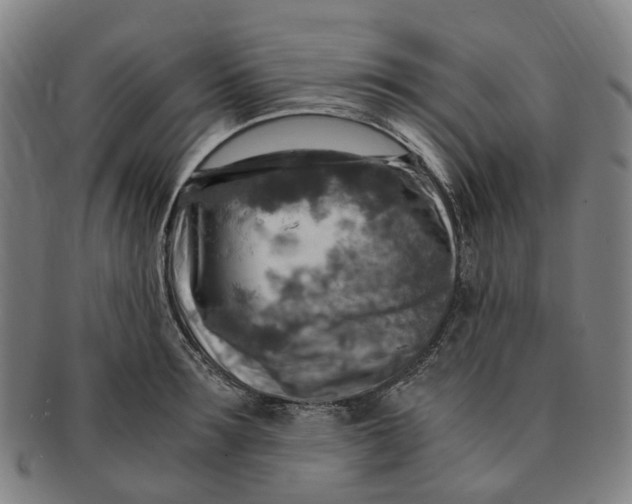 X0000091010899200708241509