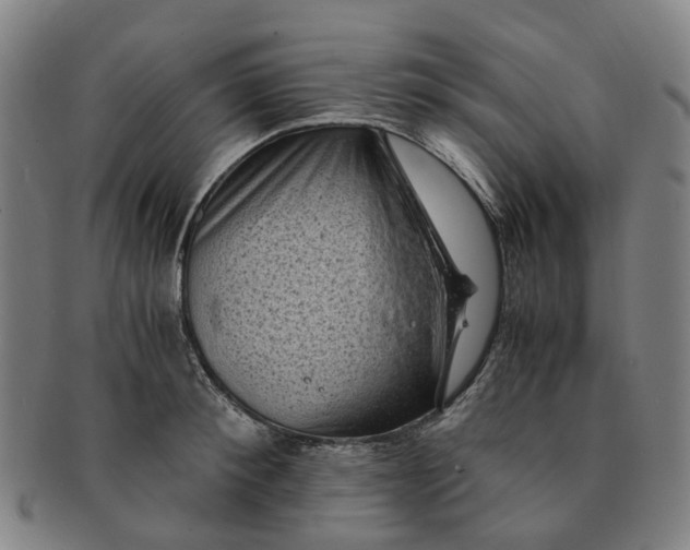 X0000091010900200708241509