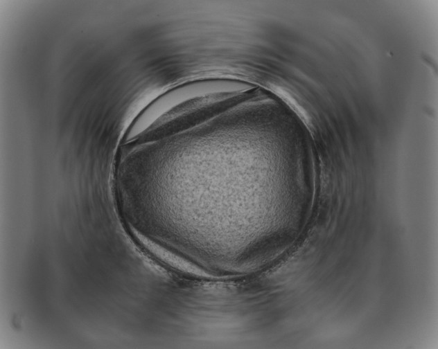 X0000091010901200708241509