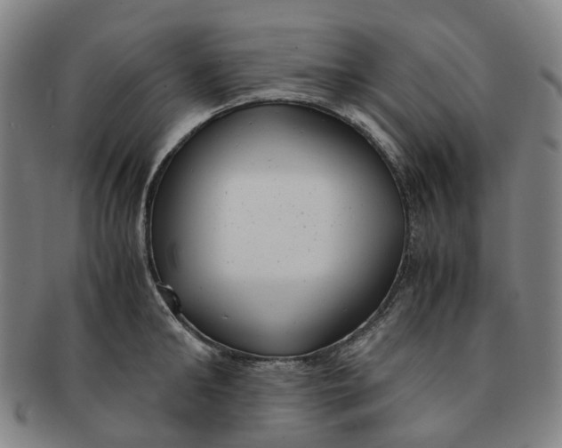 X0000091010902200708241509