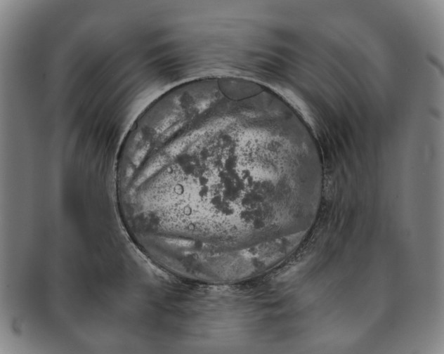 X0000091010903200708241509