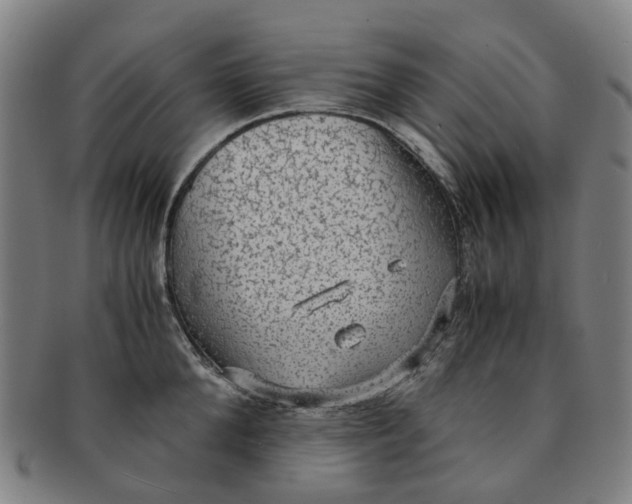 X0000091010904200708241509