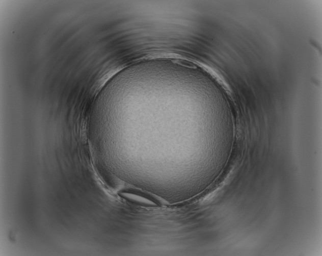 X0000091010905200708241509