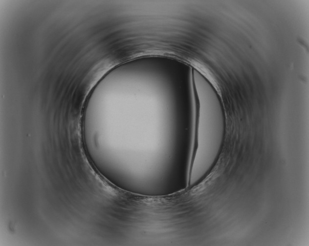 X0000091010906200708241509