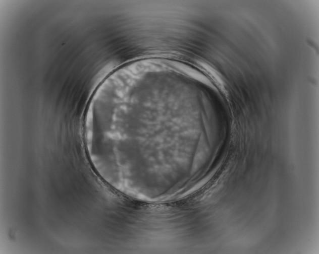 X0000091010907200708241509