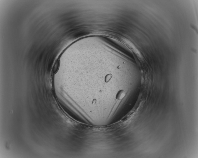 X0000091010908200708241509