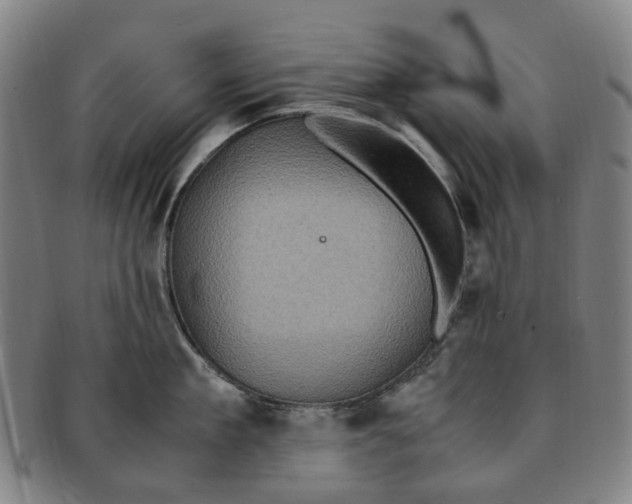 X0000091010909200708241509