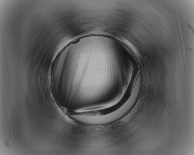 X0000091010910200708241509