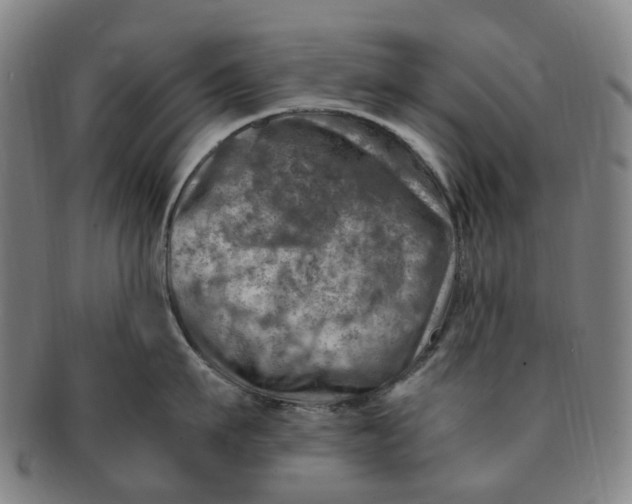 X0000091010911200708241509