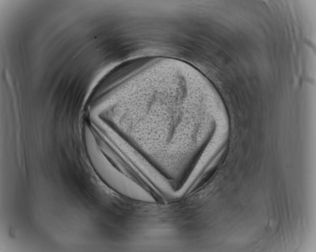 X0000091010912200708241509