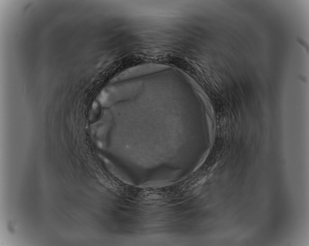 X0000091010913200708241508