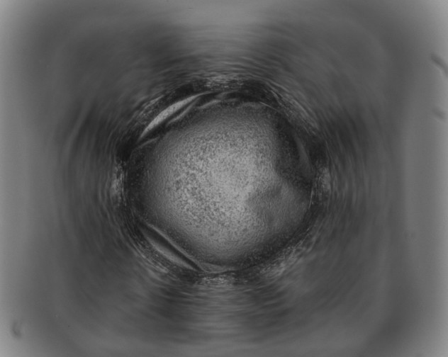 X0000091010914200708241508