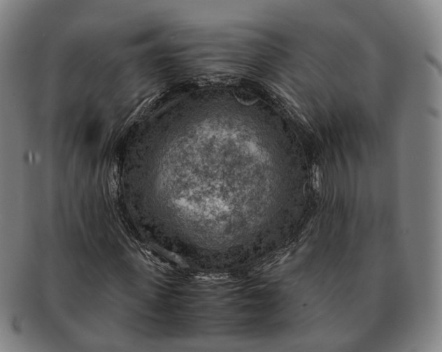 X0000091010915200708241508