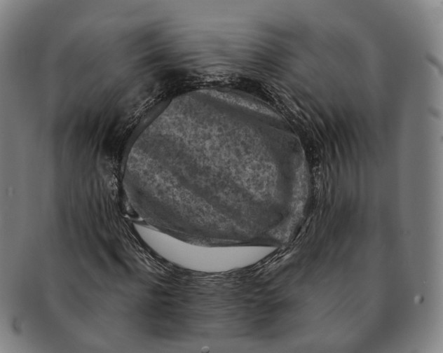 X0000091010916200708241508