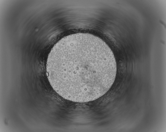 X0000091010918200708241509