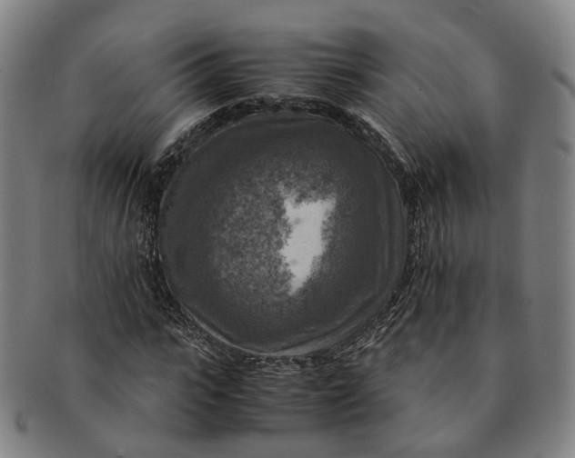 X0000091010919200708241509