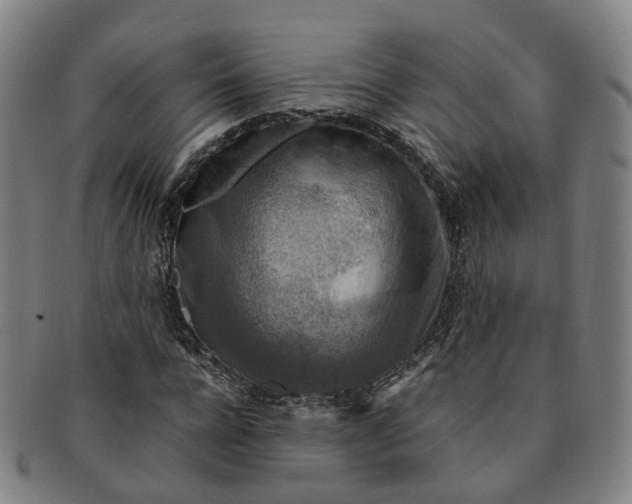 X0000091010920200708241509